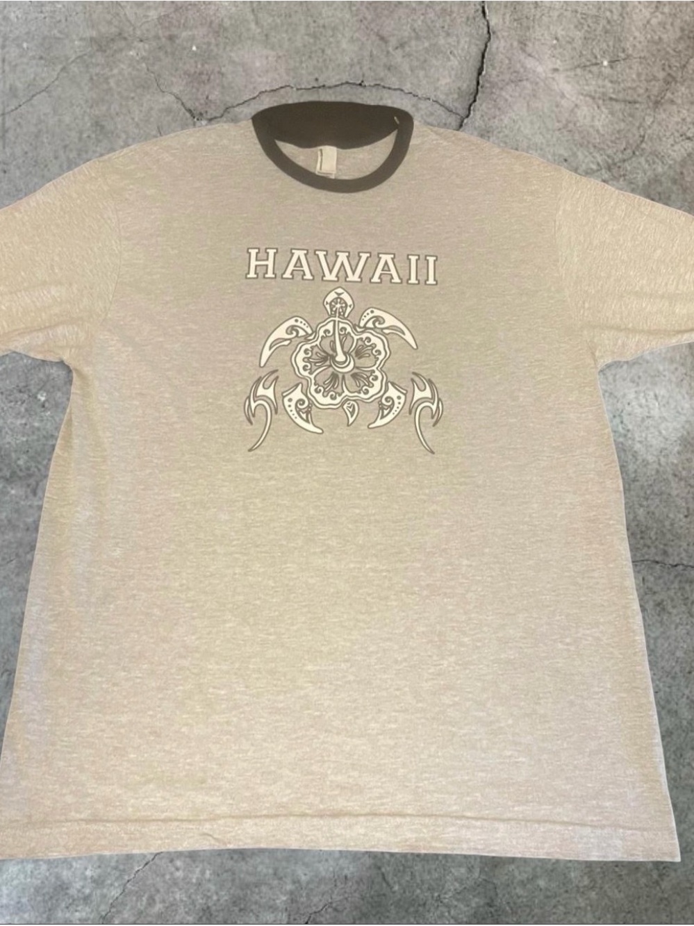 American Apparel Beige Hawaii Turtle Graphic Short Sleeve Tee